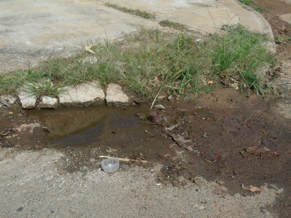 Moradores reclamam de falta de limpeza pública em Ribeirão Bonito (Foto: Leitor RB Na Rede)
